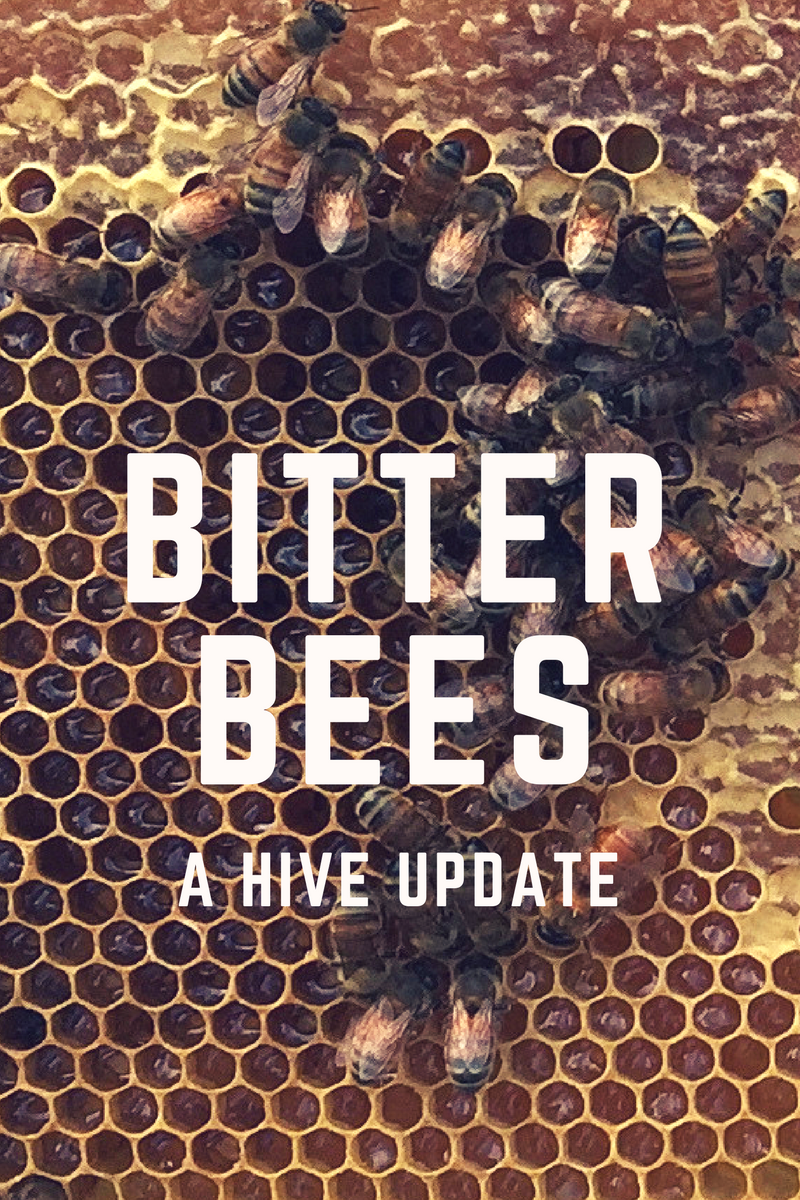 Bitter Bees